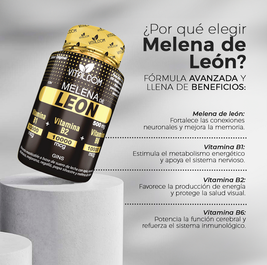 Melena de León - Concentración- memoria- estrés - energía